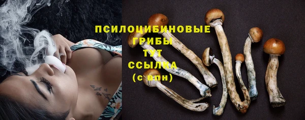 дживик Балабаново